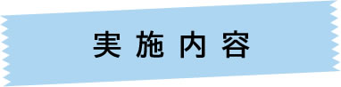 実施内容